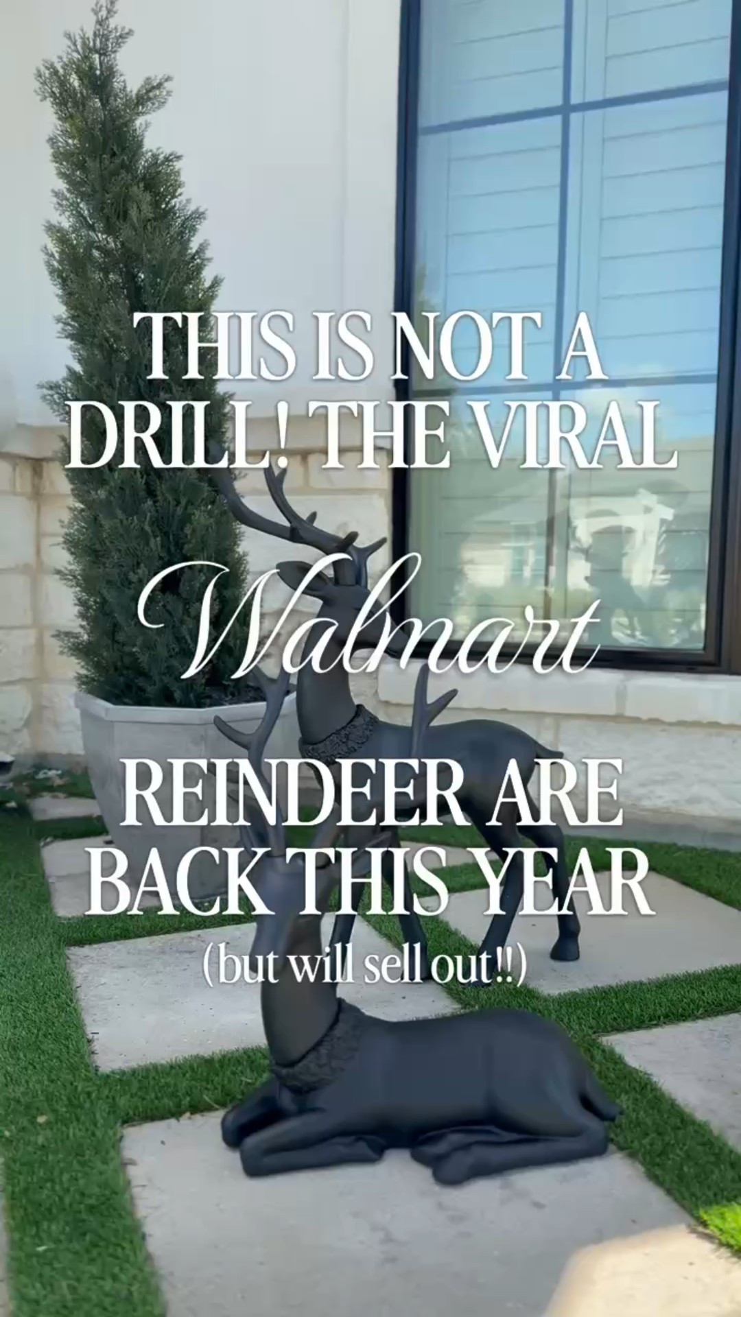 Viral walmart reindeer are finally back in stock. They sold out so quickly last year, so definitely don’t wait!

#LTKSeasonal #LTKHalloween #LTKFallSale

#LTKSeasonal #LTKOver40 #LTKHome

#LTKHome #LTKHoliday #LTKGiftGuide

#LTKHoliday #LTKOver40 #LTKGiftGuide