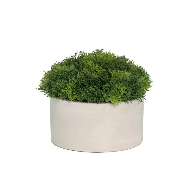 Mainstays Height 5.5" Tall Artificial Plant in Green Color, Potted Plant Moss in Grey Cement Pot | Walmart (US)