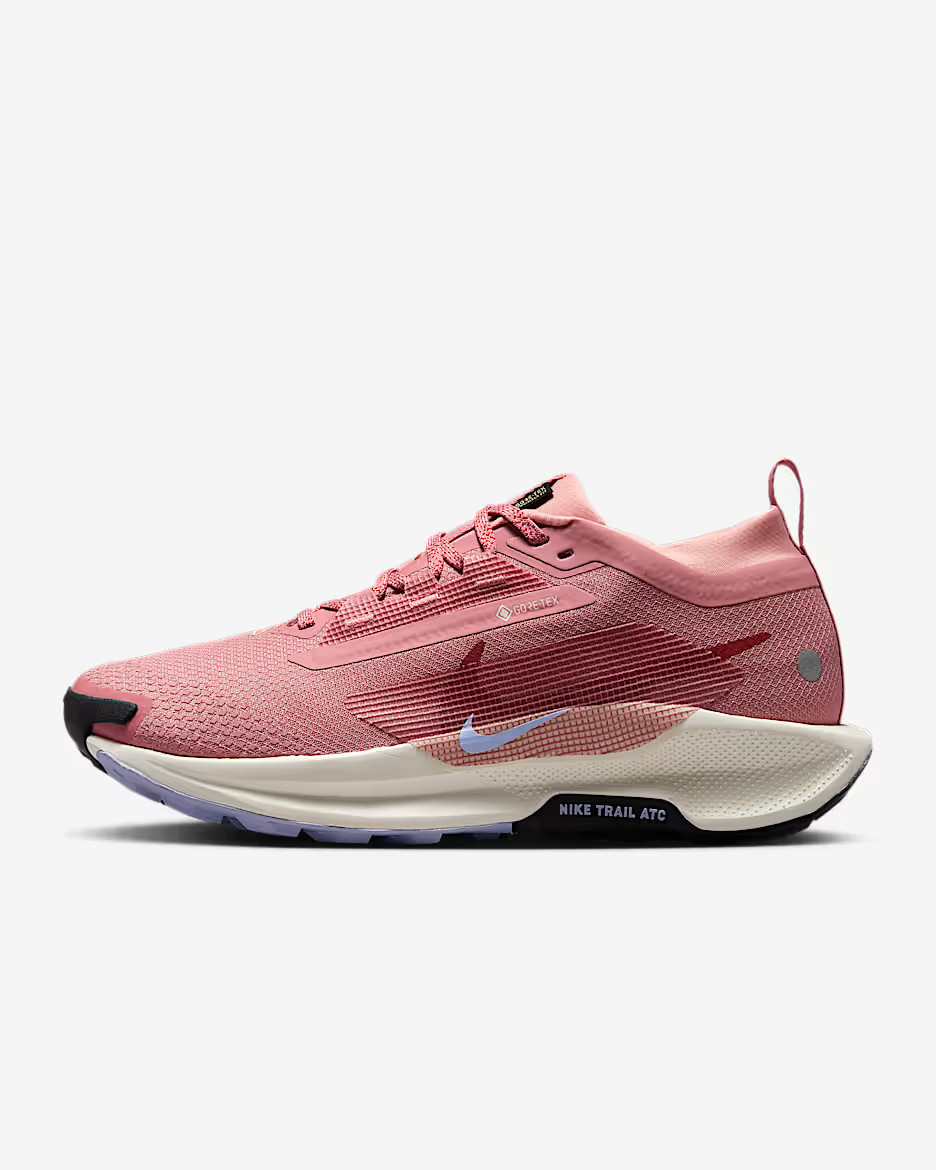 Nike Pegasus Trail 5 GORE-TEX | Nike (UK)