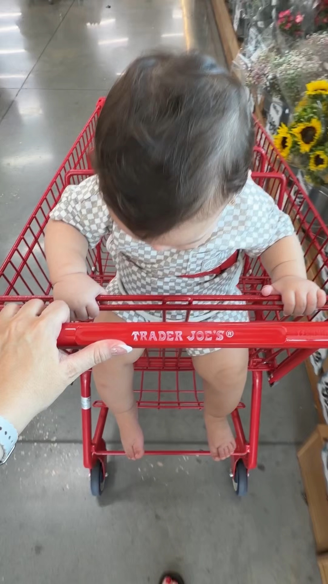 Trader Joe’s Run 

#LTKdayinmylife #LTKmomlife