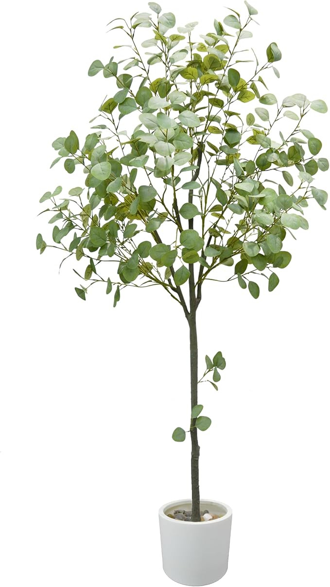 Artificial Eucalyptus Tree 6ft Tall, Modern Fake Silver Dollar Leaves Plastic Plants for Home Dec... | Amazon (US)