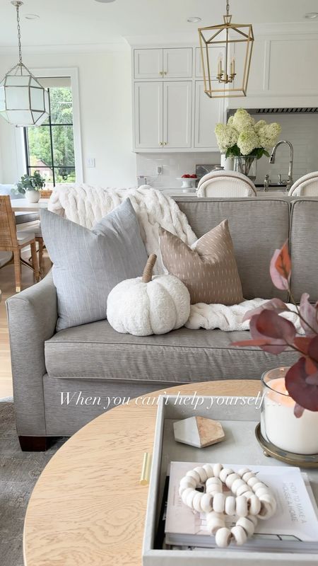 Fall living room decor, pumpkin pillow, fall stems, pottery barn, throw pillows 

#LTKsalealert #LTKSeasonal #LTKhome