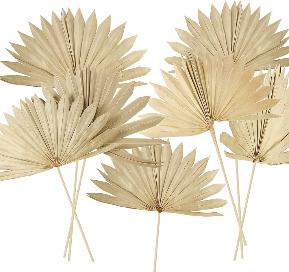 10 Pieces Large Dried Palm Leaves Decor Sun Palm Natural Dried Palm Fans Dried Palm Spears Gold P... | Amazon (US)