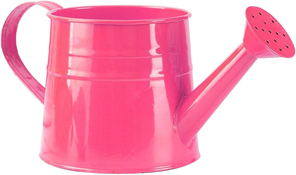 1 Gallon Watering Can,Plant Watering Can,Sprinkling Can,Metal Flower Garden Watering Can,Watering... | Amazon (US)