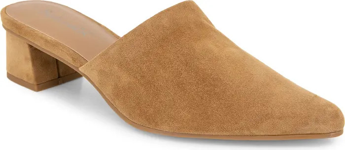 Lorelei Pointed Toe Mule (Women) | Nordstrom