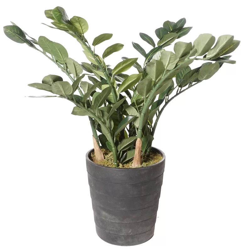 Faux Plants and Trees | Wayfair Professional