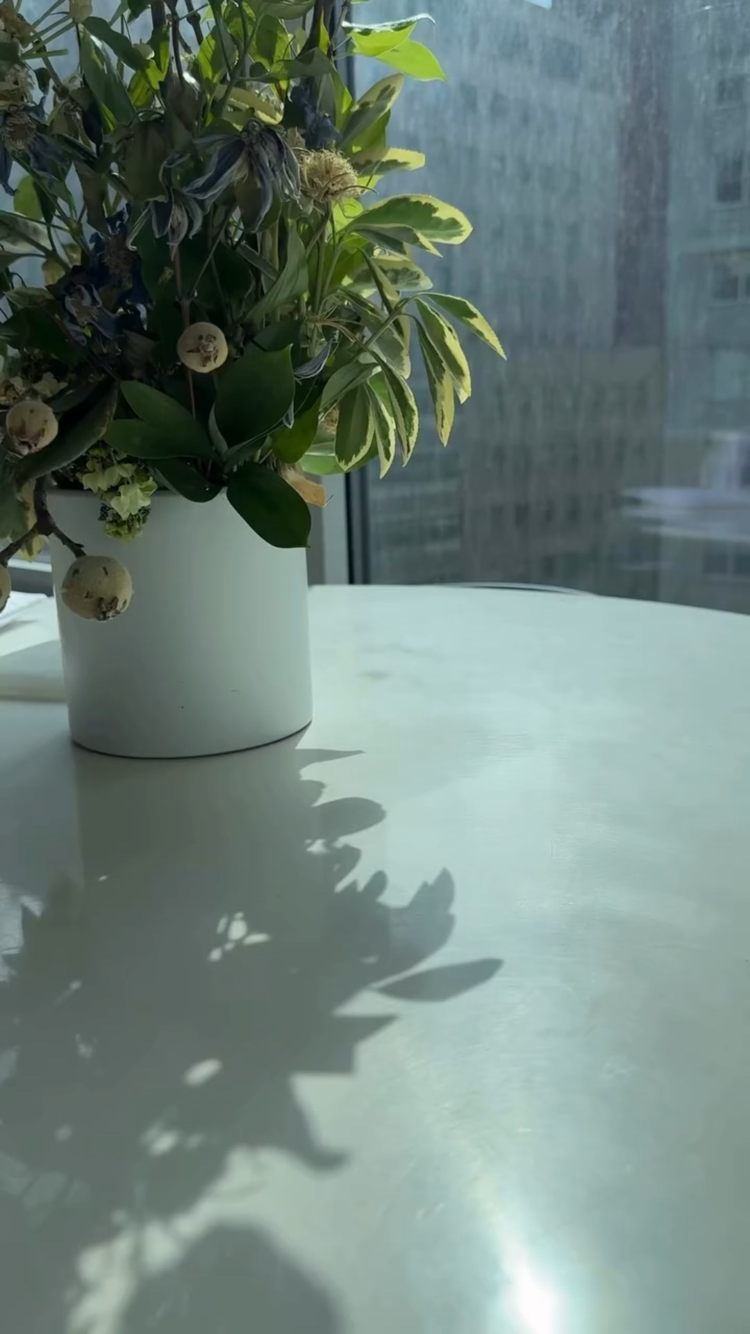 Literally summer in a bottle @voluspafragrances #voluspagiftedme #sponsored #voluspafragrances