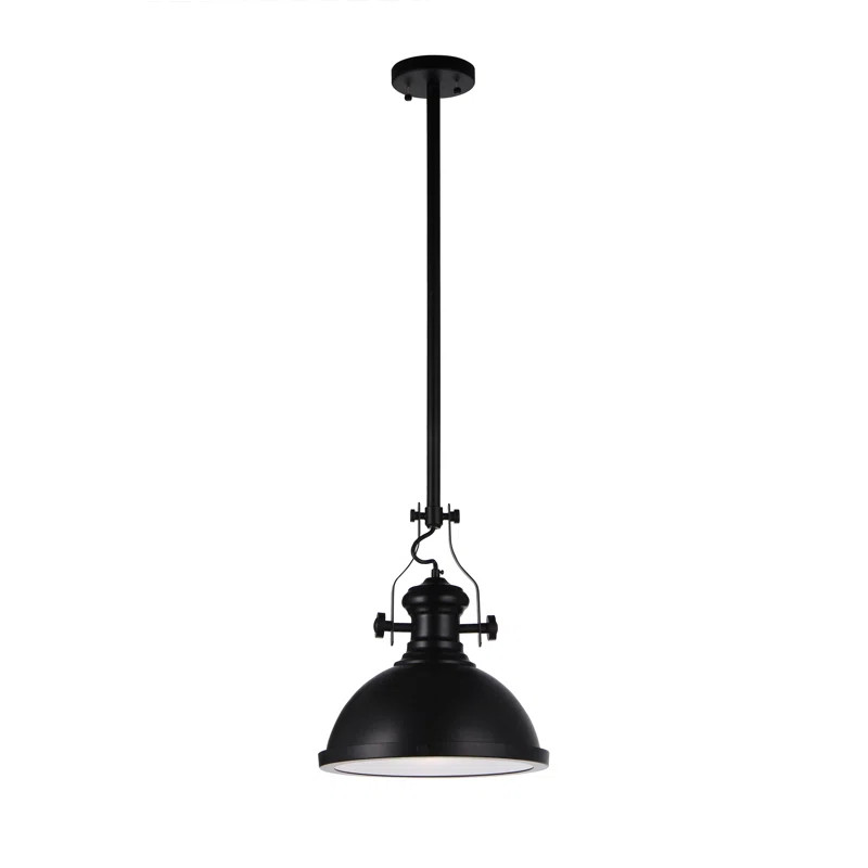 Pawel 1 - Light Single Dome Pendant | Wayfair North America