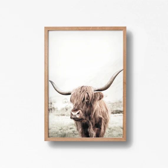 Highland cow print, Highland cow art, Highland Cow Printable, highland cow photography, bull prin... | Etsy (US)