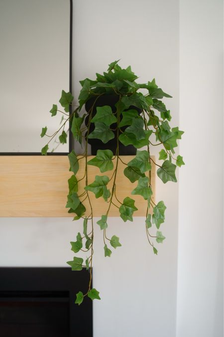 Walmart artificial hanging ivy plant — comes with black pot. So affordable & real looking! Perfect for a small corner space! 



#LTKhome #LTKsalealert #LTKfindsunder50