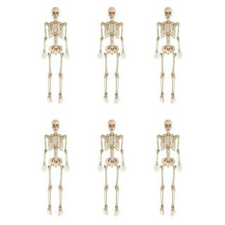 6-Pack 5 ft. Poseable Skeleton | The Home Depot