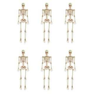 6-Pack 5 ft. Poseable Skeleton | The Home Depot