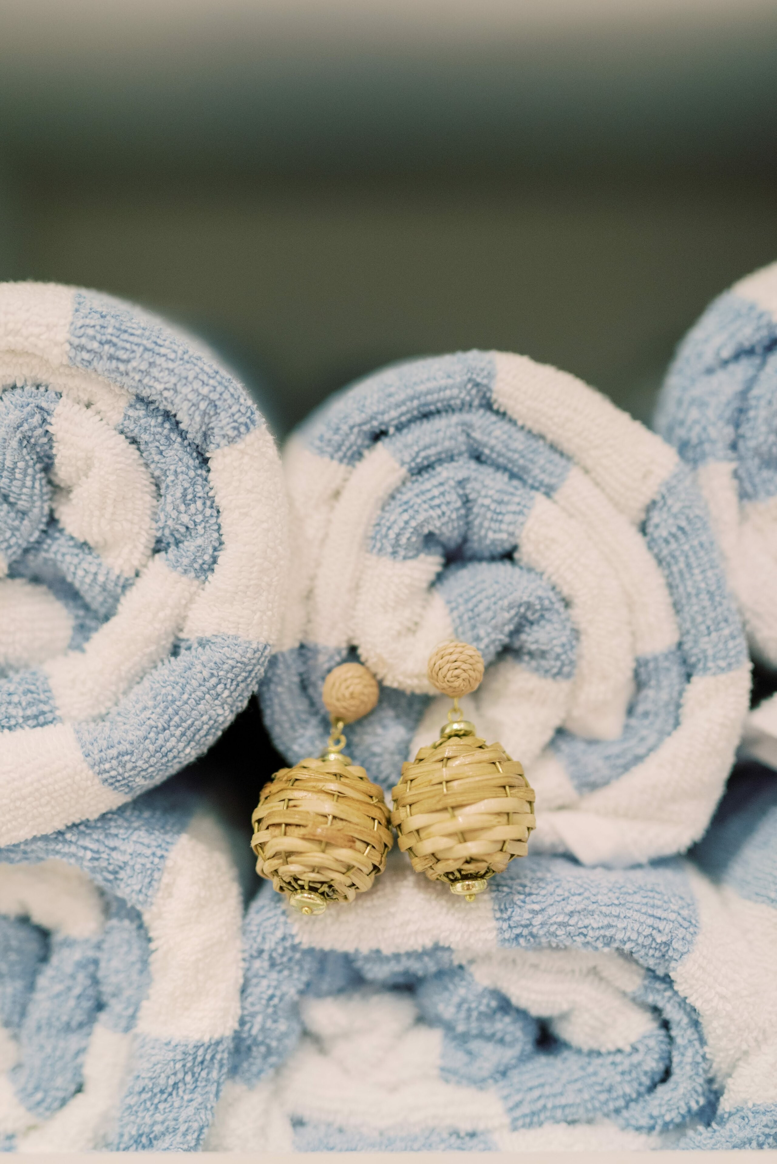 Whidden - Earring | Lisi Lerch Inc