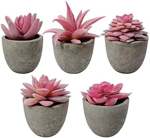 SAJANDAS Pink Artificial Succulent Plants in Pots, Set of 5 Artificial Succulent Plants with Pots... | Amazon (UK)