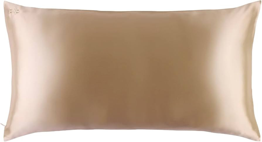 slip King Pure Silk Pillow Case - 100% Pure 22 Momme Mulberry Silk- King Size Standard Pillow Cas... | Amazon (US)