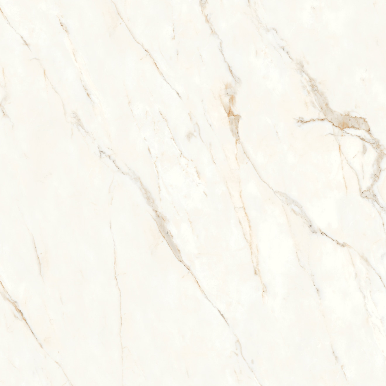 Magnifica Nineteen Forty-Eight 48" x 48" - 8mm Polished Porcelain Tile in Calacatta Oro | Bedrosians Tile & Stone