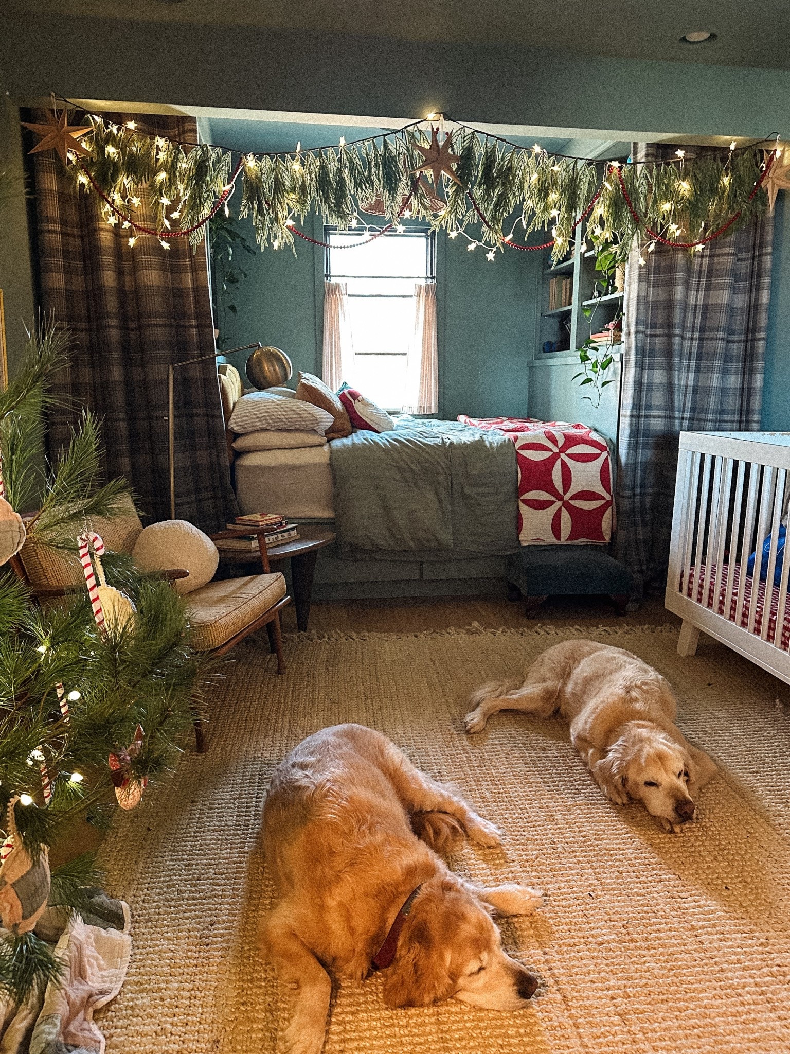 coziest room in the house! ✨