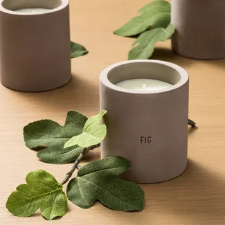 9.3oz Cement Candle Fig - Hearth & Hand™ with Magnolia | Target