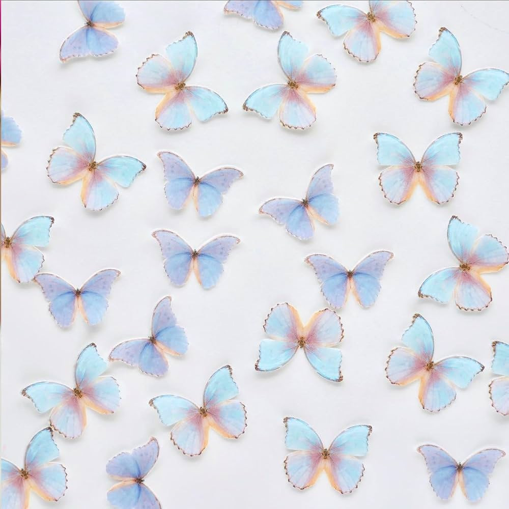 Wafer Paper Butterflies Cupcake Toppers Wedding Cake Birthday Party Food Decoration Mixed Colour ... | Amazon (US)