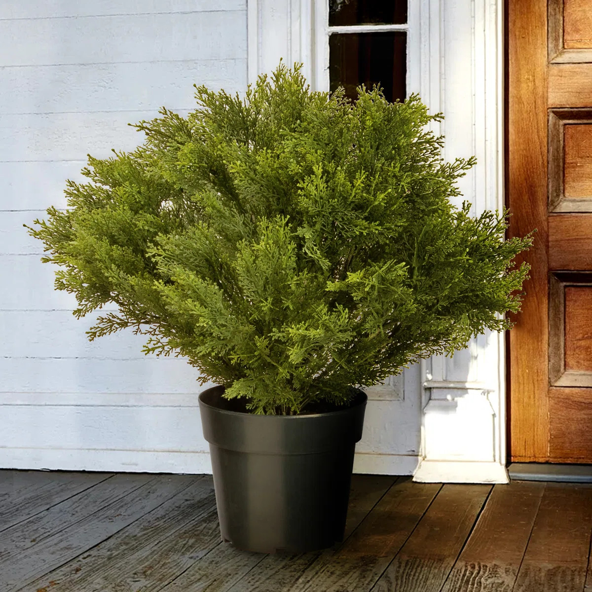 28-Inch Artificial Globe Juniper Tree, Realistic Fake Tree Potted Plant, Dark Green Round Growers... | Wayfair North America