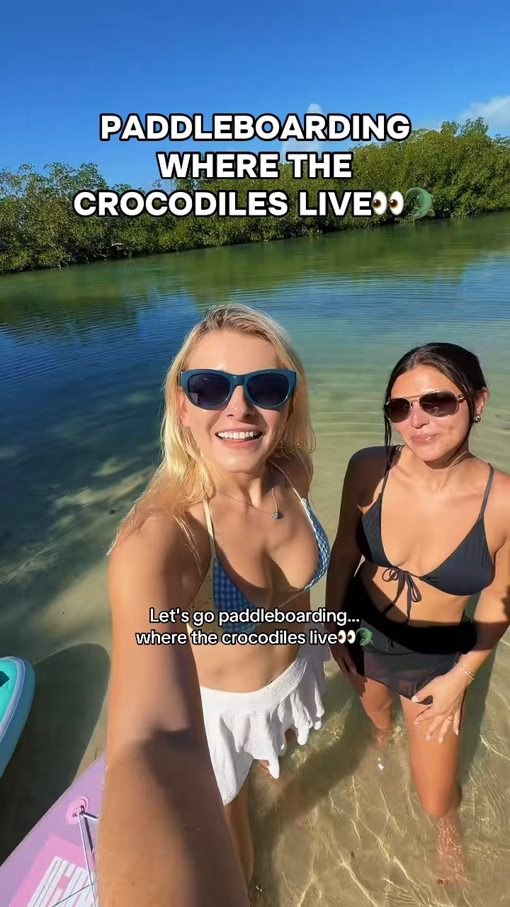 The SHARK🥹🫶 and yes, there ARE crocodiles in Florida, not just alligators 👀🐊

@Jeana Butler #crocodile #floridakeys #paddleboarding #florida #jellyfish 

#LTKTravel #LTKActive #LTKSwim