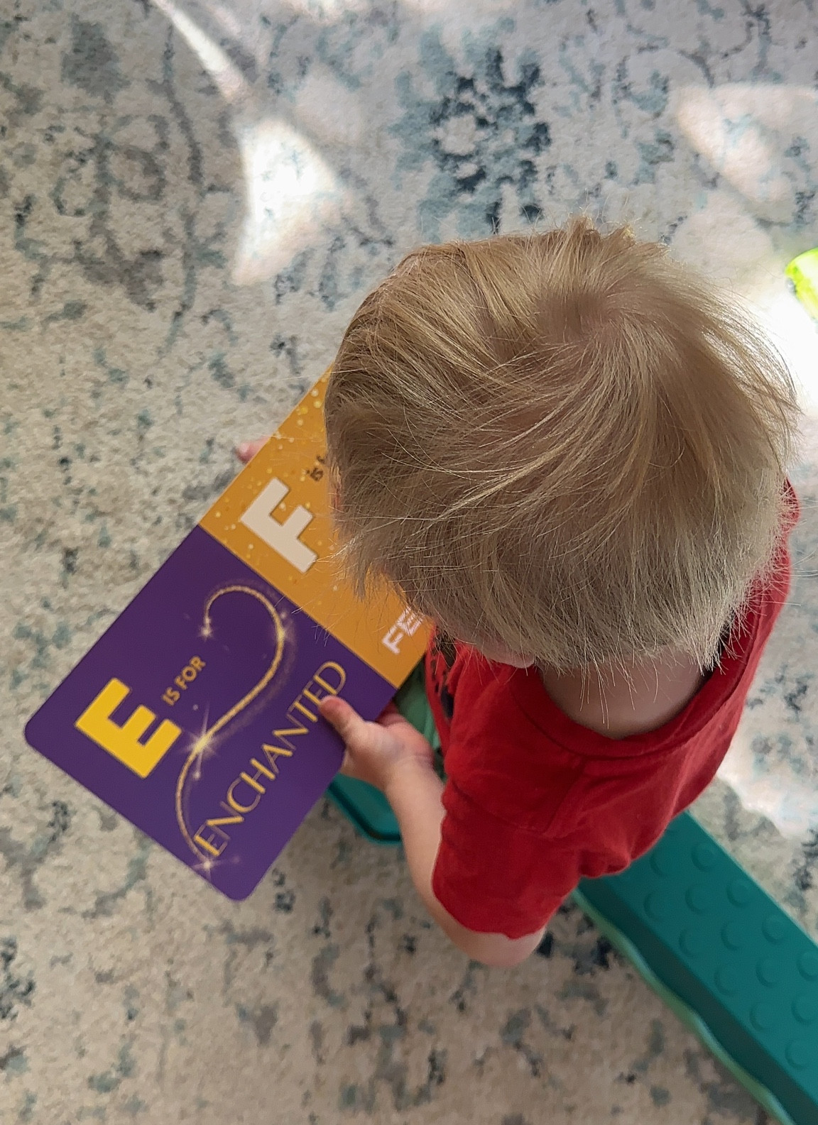 Swiftie ABC’s by Brian Wachter toddler board book for Taylor swift fans 

#LTKBaby #LTKKids #LTKFamily