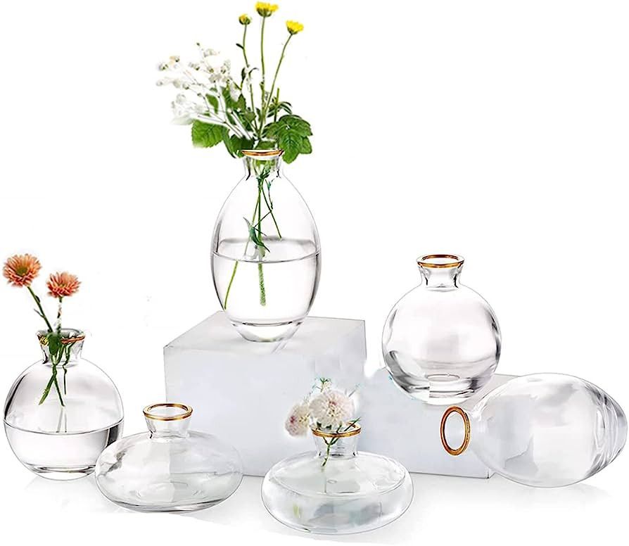 Small Vases for Centerpieces Glass Esmiome - Clear with Gold Rim 2sets(6Pcs) Bud Vases, Short Min... | Amazon (US)