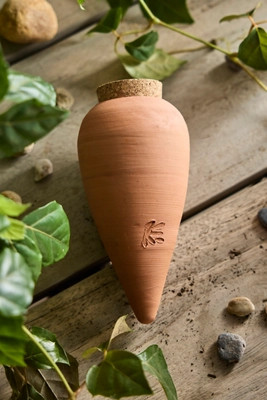 Terracotta Watering Olla | Anthropologie (US)