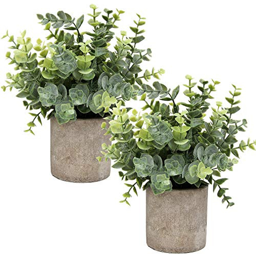 Flojery Mini Potted Plants Artificial Eucalyptus Boxwood Rosemary Greenery in Pots Faux Potted He... | Amazon (US)