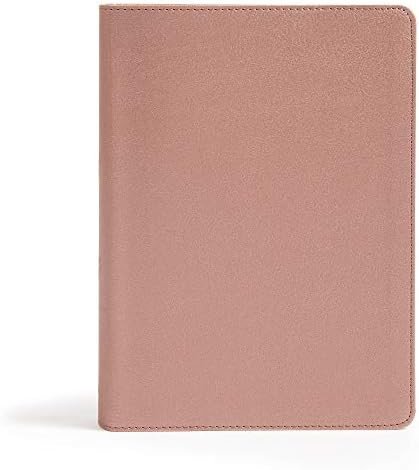 CSB She Reads Truth Bible, Rose Gold LeatherTouch, Black Letter, Full-Color Design, Notetaking Sp... | Amazon (US)