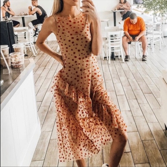 Zara tulle polka dot dress semi sheer red | Poshmark