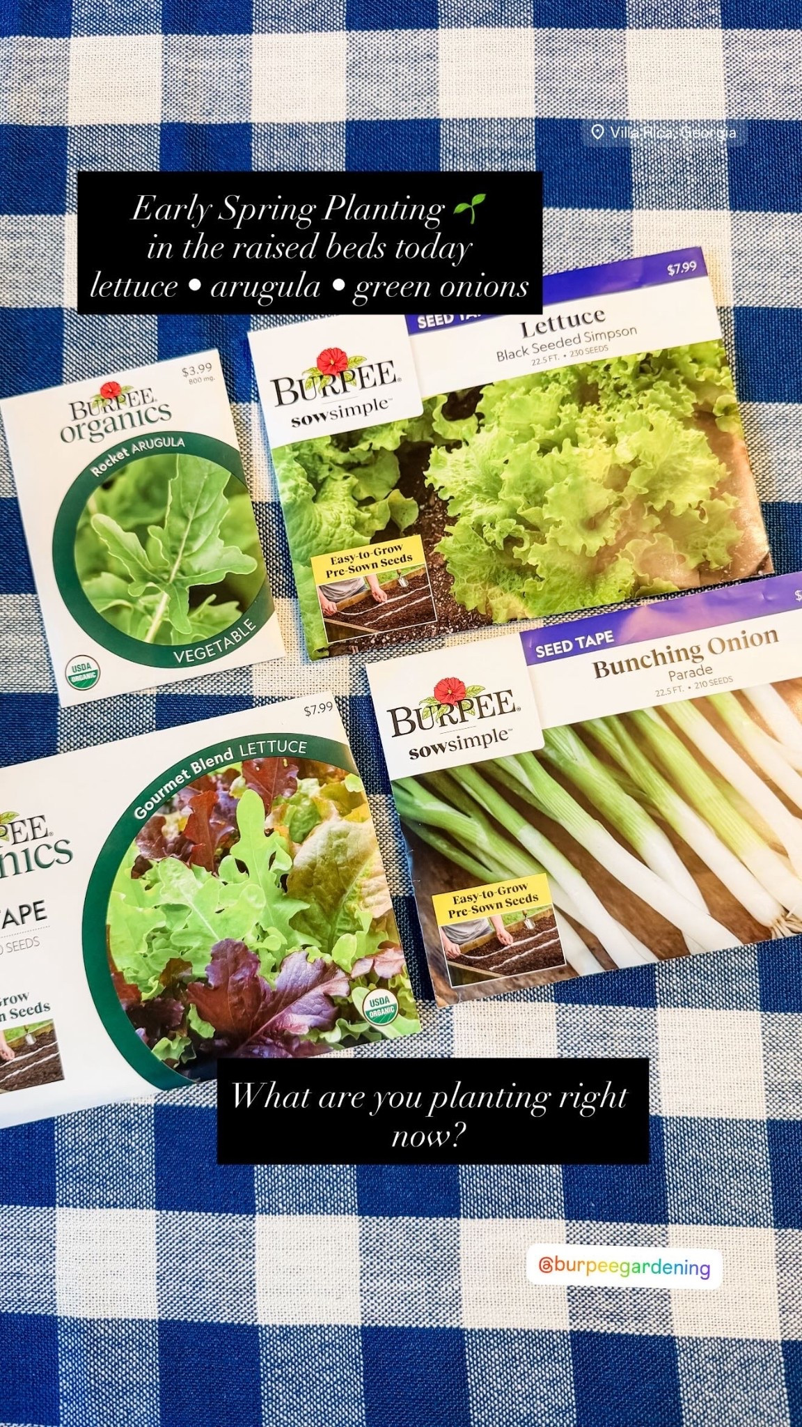 Early spring planting day in the raised beds 🌱☀️

Starting with cool weather favorites — arugula, gourmet lettuce blends, black seeded simpson lettuce + bunching onions. There is nothing sweeter than stepping outside and harvesting salad straight from your own garden.

I’ve linked the raised beds I use from Tractor Supply, the seed varieties I planted today, and a few of my favorite garden tools that make planting season feel simple and cozy.

Fresh salads loading…

⸻

#raisedgardenbeds
#springplanting
#vegetablegarden
#homegarden
#gardeningseason
#growyourownfood
#backyardgarden
#kitchengarden
#southerngarden
#gardenlife

#LTKfoodie #LTKdayinmylife #LTKSeasonal