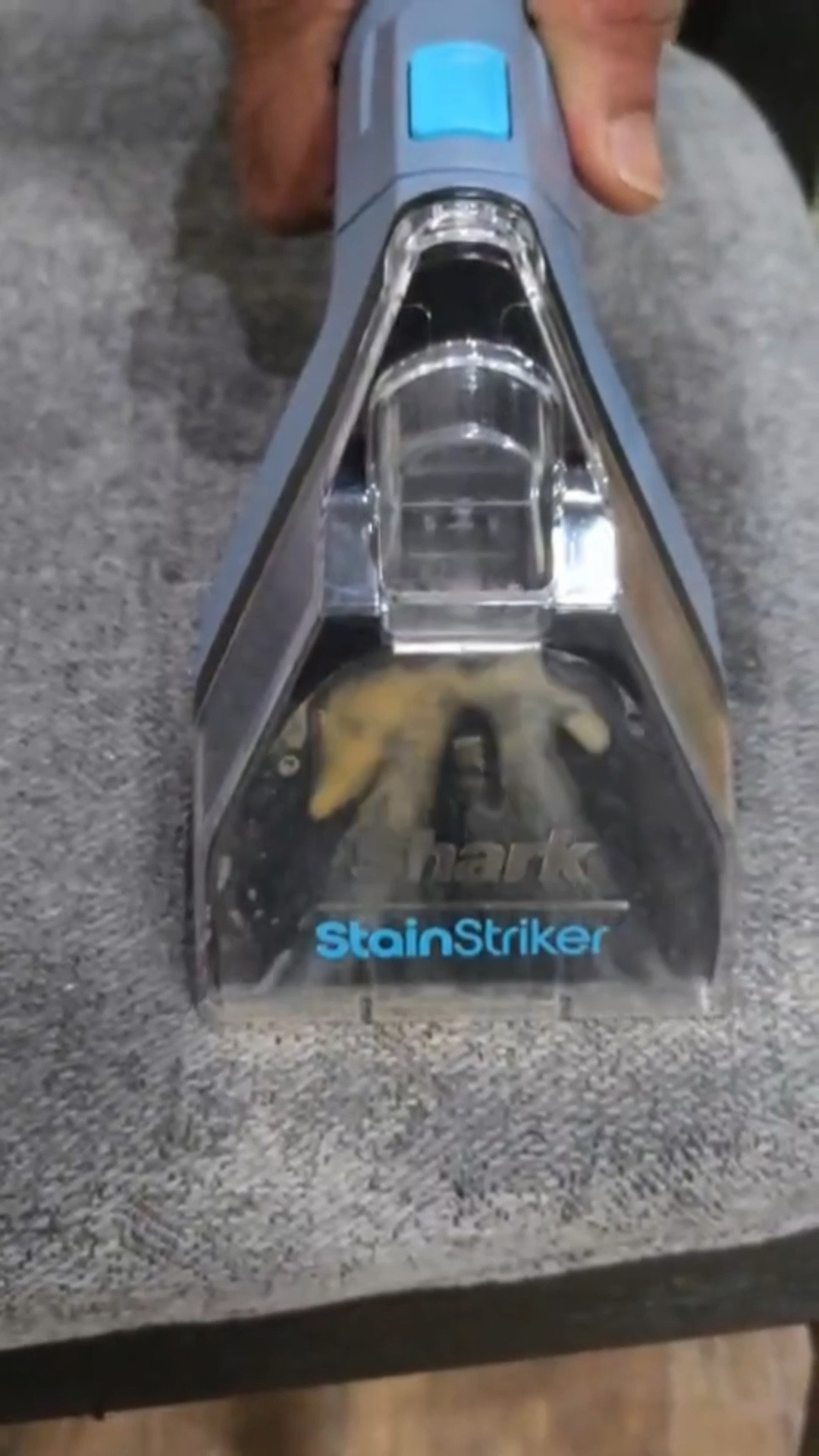 Shark stain striker #cyberdeal

#LTKSaleAlert #LTKHome #LTKCyberWeek