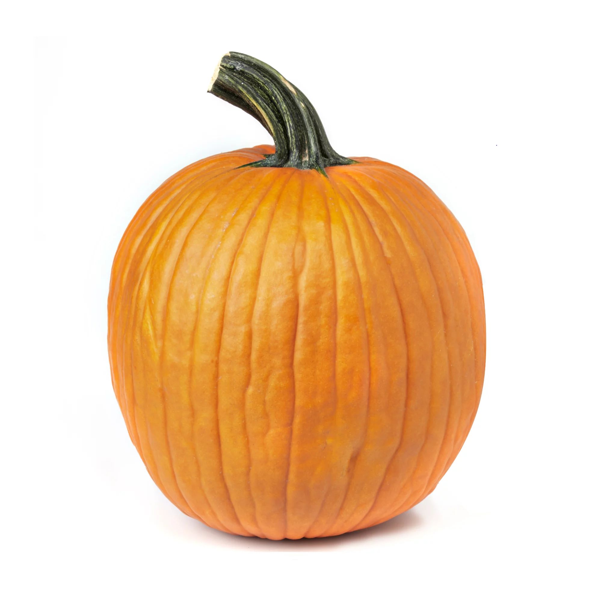 Carving Pumpkin, Each - Walmart.com | Walmart (US)