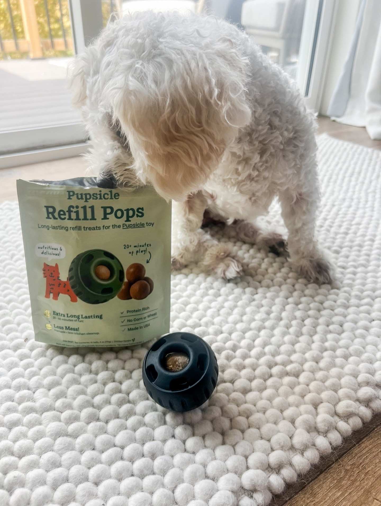 It’s pupsicle o’clock — our favorite after-work treat time! Chloe can’t resist these frozen goodies! 🦴

Use code THECAVALIFE to try them out for your own pup’s treat break @mywoof
.
.
.
.
.
#PupsicleTime #DogTreats #AfterWorkTreats #TheCavaLife #CavachonLove #CavachonCommunity #CavachonCutie #DogMomLife #DogMomApproved #MidwestDogs #IowaDogs #DogsofIowa #DogsofTheMidwest #PupApproved #DogLovers #PupperTreats #DogTreatInspo #HealthyDogTreats #DogSnackTime #DogDays #FurryFriends #CuteDogsOfInstagram #DogLifestyle #PupLife #DogObsessed #DogContentCreator #DogInfluencer #CavachonNation #MidwestDogMom