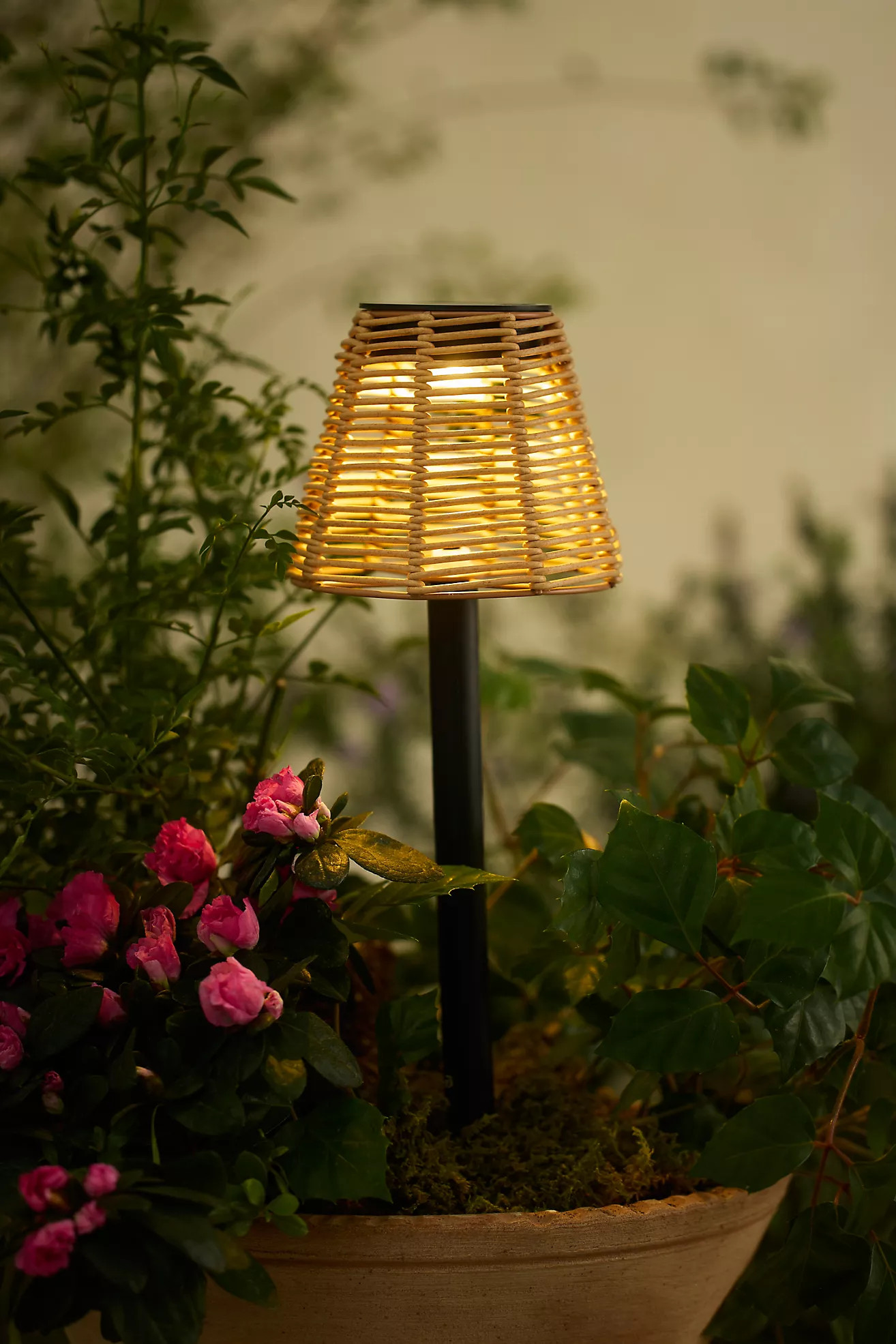Rattan Shade Solar Pathway Stake Light | Anthropologie (US)