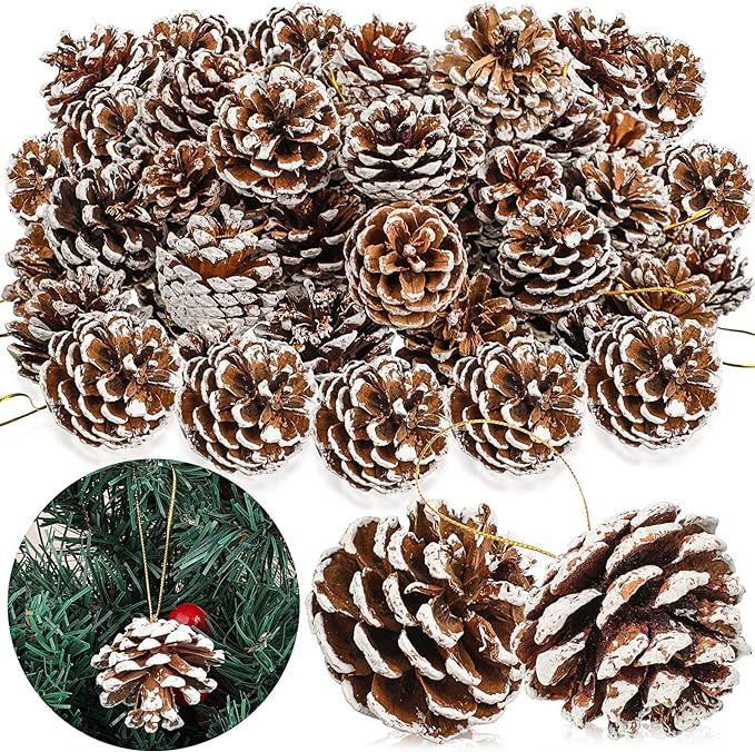 100 Pieces Christmas Pine Cones Ornament White Mini Pinecones with String Pendant Christmas Hangi... | Amazon (US)