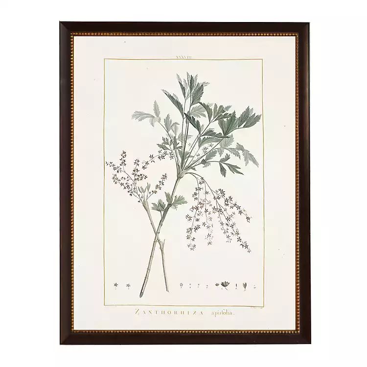 Zanthorhiza Greenery Black Beaded Framed Art Print | Kirkland's Home
