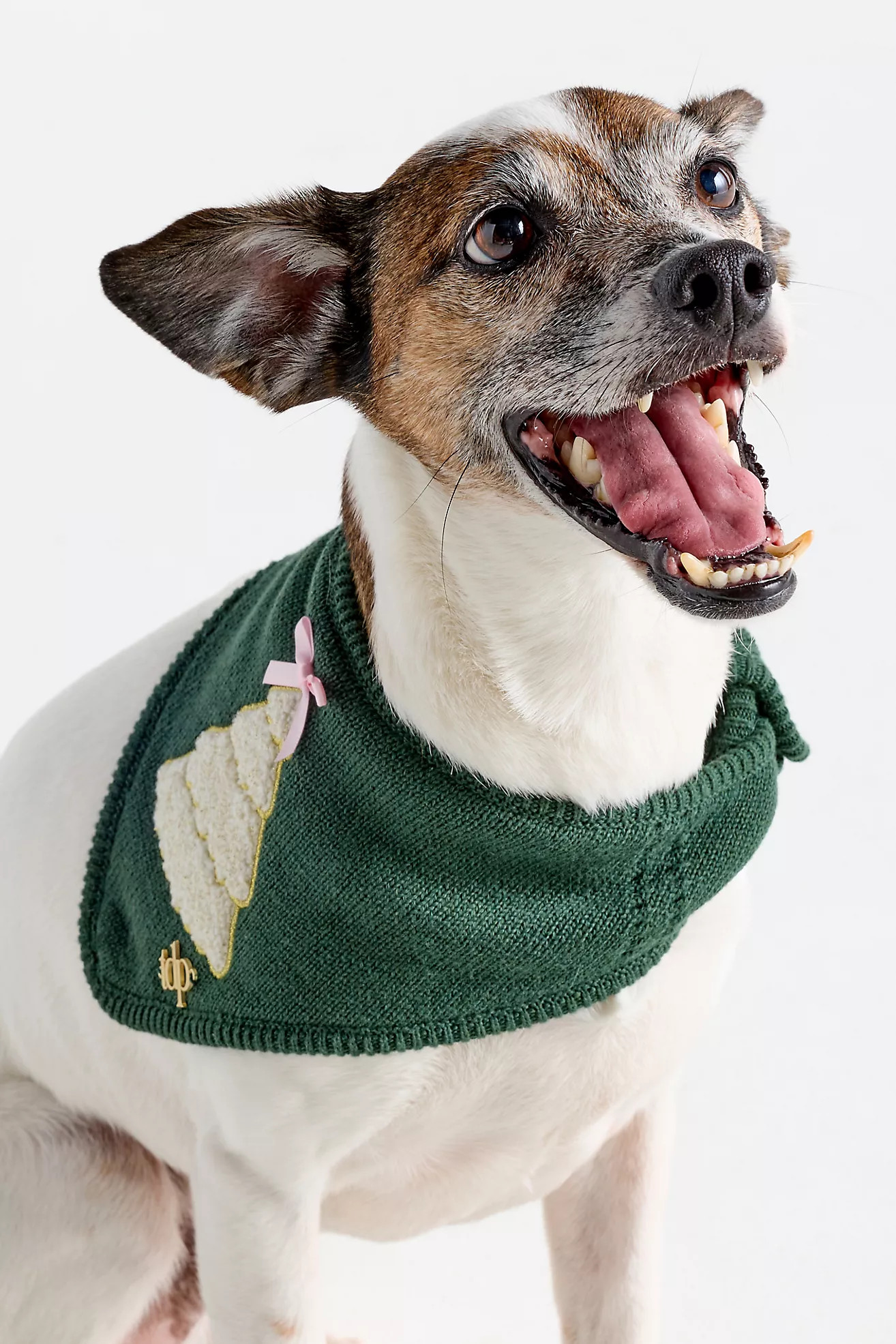 The Deluxe Pup Holiday Knit Pet Bandana | Anthropologie (US)