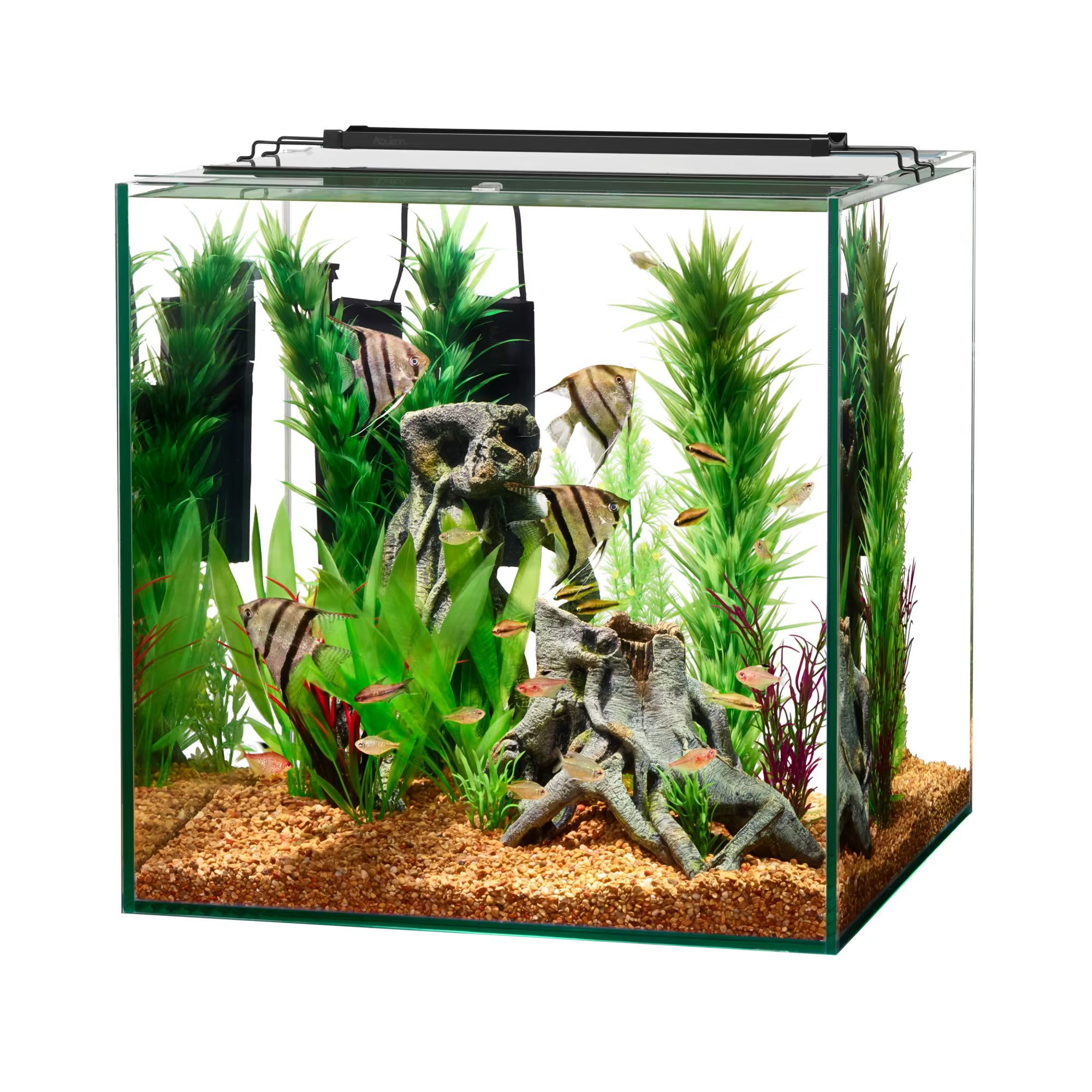 Aqueon Frameless Cube Aquarium, 14 Gallon | Petco