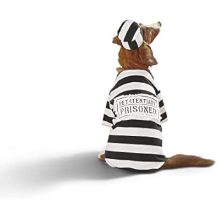 Bootique Dog & Cat Prisoner Costume, Small | Halloween Costumes for Pets, Dogs, Cats, Rabbits, Gu... | Amazon (US)
