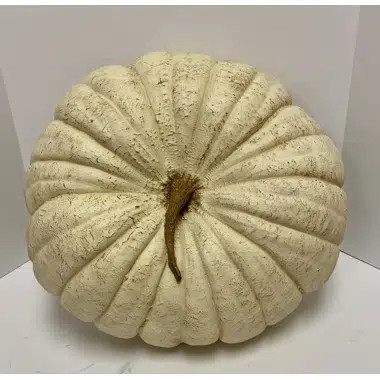 Jumbo Pumpkin | Wayfair Professional