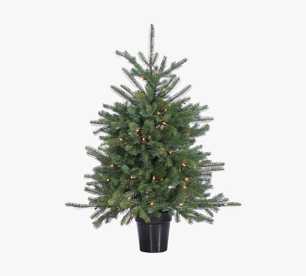 Potted Pine Tree With Clear Lights | Pottery Barn (US)