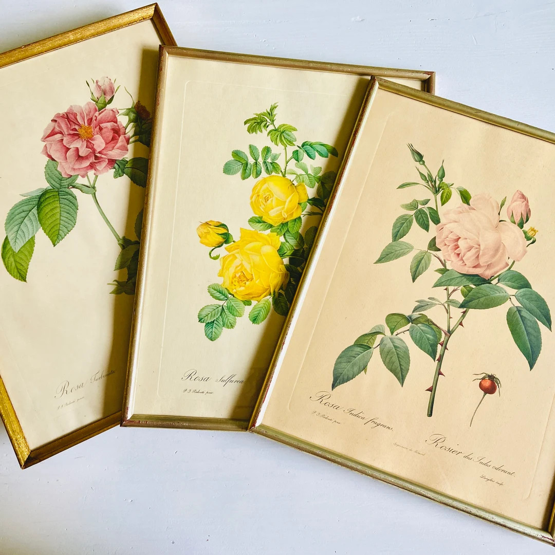Vintage gilded framed Redoute Roses vintage gallery wall antique framed botanical roses | Etsy (US)