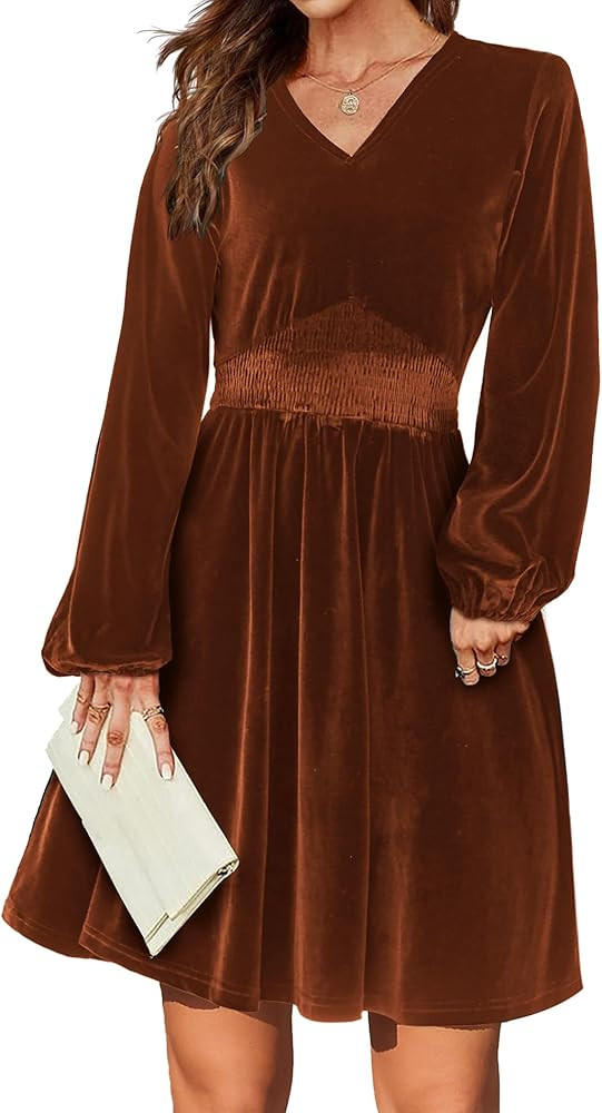 Zeagoo Damen Kleider Elegant Samtkleid Winterkleid Langarm V-Ausschnitt A Linie Kleid Freizeitkle... | Amazon (DE)