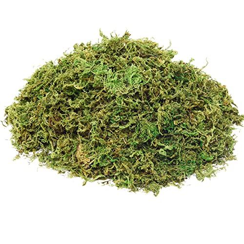 Fake Moss Artificial Moss for Potted Plants Greenery Moss(4OZ) Home Decor Fairy Garden Crafts Wed... | Amazon (US)