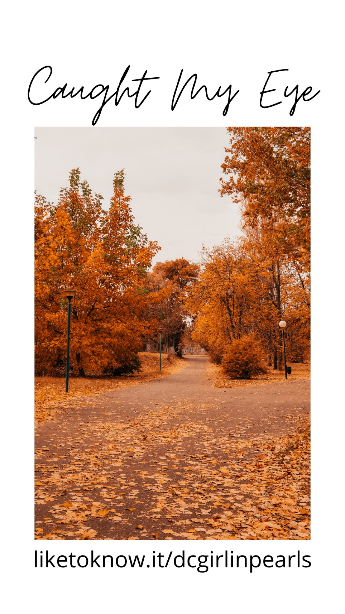 Caught My Eye - 11.6.22
#classicstyle #preppystyle #tuckernuck #verabradley #holidaygiftguide #holidaystyle 

#LTKHoliday #LTKunder100 #LTKSeasonal