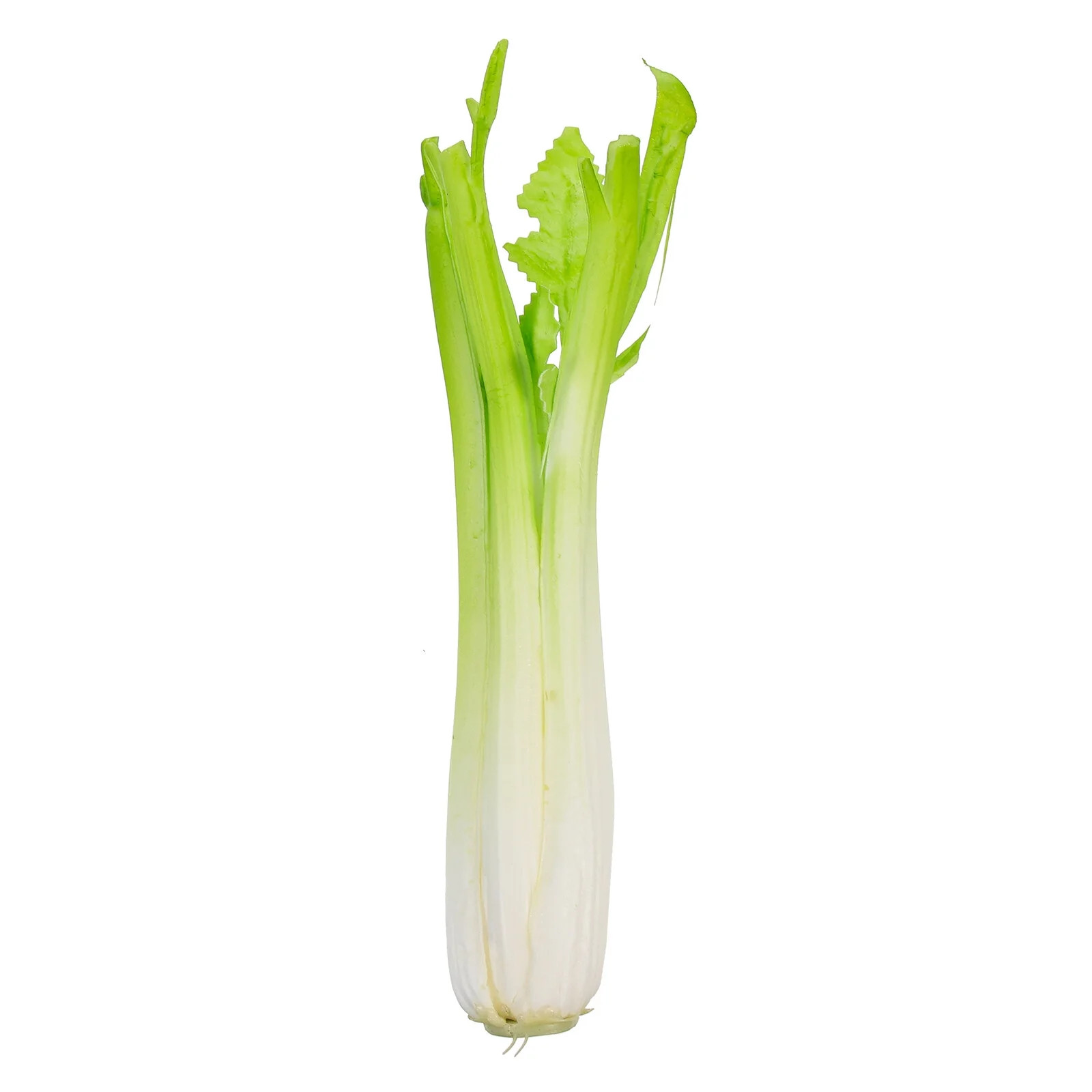 Fake Vegetable Celery Ornament Decorative Celery Model Shop Restaurant Photo Prop | Walmart (US)