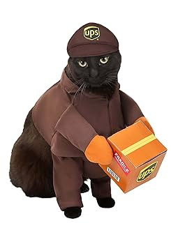 UPS Pal, Dog Costume, Large | Amazon (US)