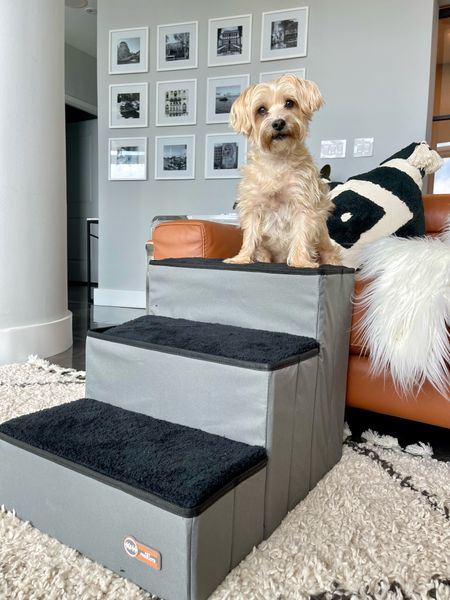 Foldable Dog Stairs I use so my dog doesn’t jump on the couch and injure himself.

#LTKHome